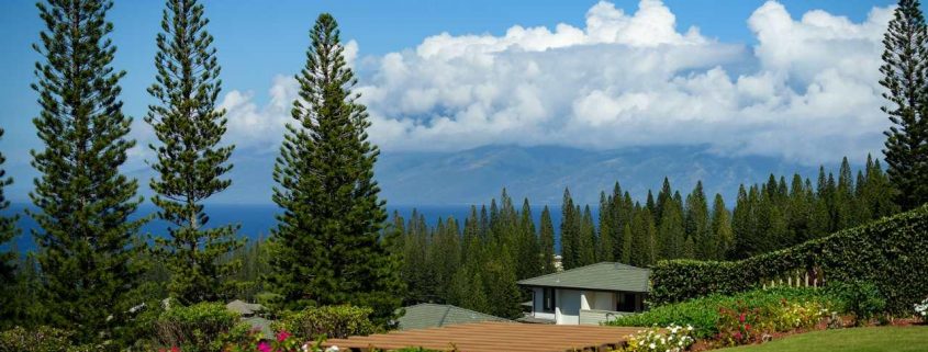 328 Cook Pine Dr, Lahaina - Maui Home