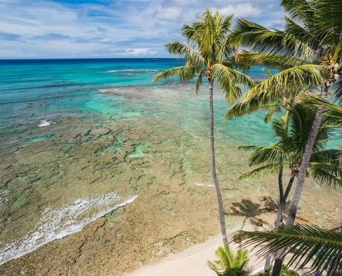 Castle Surf Apts unit #61, Diamond Head | Oahu